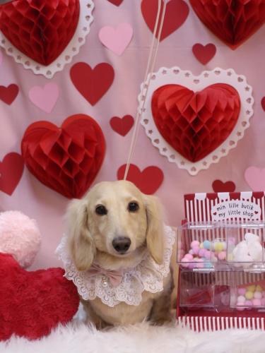 2024022シオンくん